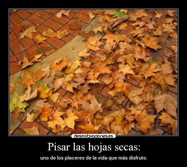 Pisar las hojas secas: - uno de los placeres de la vida que más disfruto.