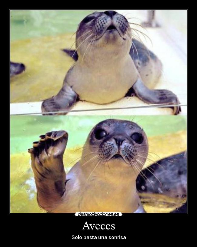 Aveces - Solo basta una sonrisa