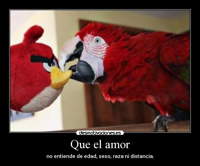 Que el amor -