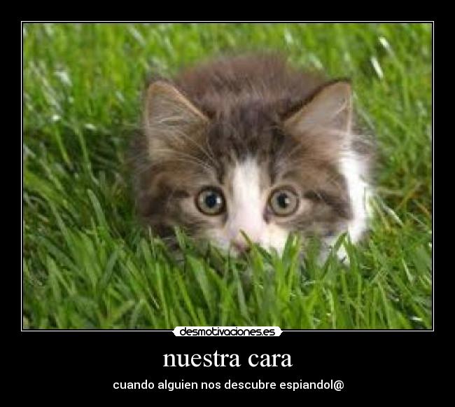 carteles papa pitufo desmotivaciones