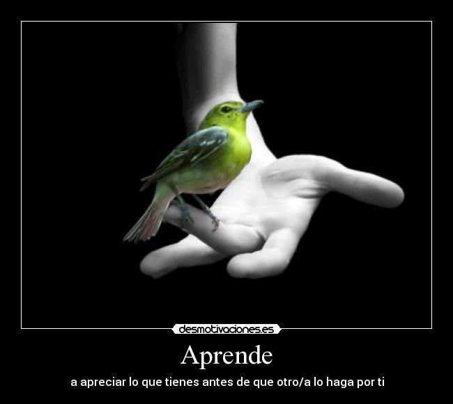 Aprende -