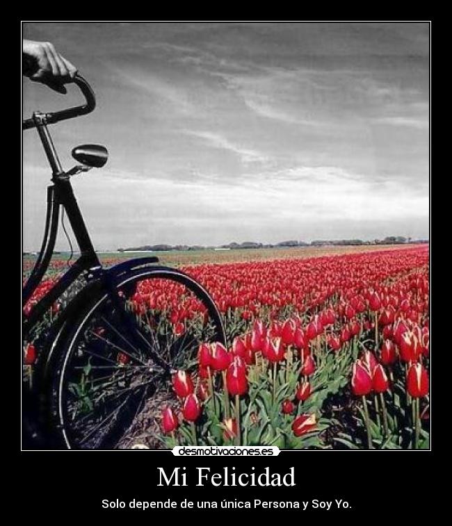 carteles felicidad felicidad desmotivaciones