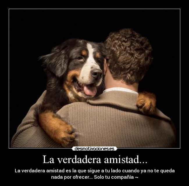 La verdadera amistad... -