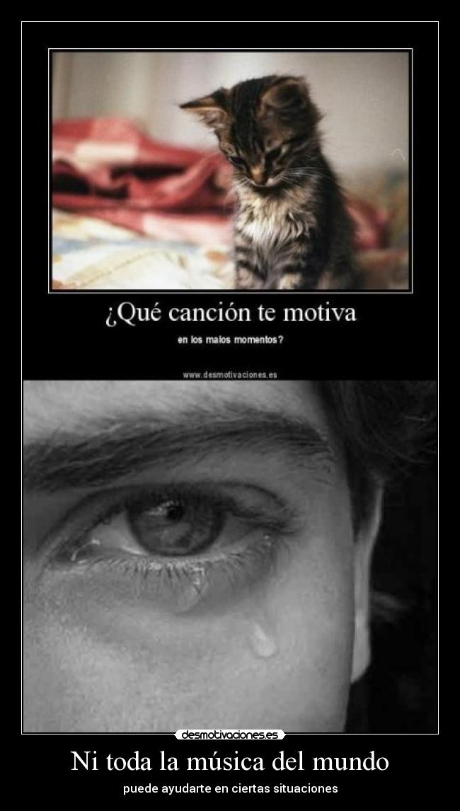 Ni toda la música del mundo - 