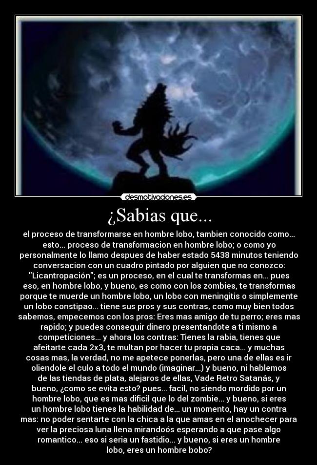 ¿Sabias que... - el proceso de transformarse en hombre lobo, tambien conocido como...
esto... proceso de transformacion en hombre lobo; o como yo
personalmente lo llamo despues de haber estado 5438 minutos teniendo
conversacion con un cuadro pintado por alguien que no conozco:
Licantropación; es un proceso, en el cual te transformas en... pues
eso, en hombre lobo, y bueno, es como con los zombies, te transformas
porque te muerde un hombre lobo, un lobo con meningitis o simplemente
un lobo constipao... tiene sus pros y sus contras, como muy bien todos
sabemos, empecemos con los pros: Eres mas amigo de tu perro; eres mas
rapido; y puedes conseguir dinero presentandote a ti mismo a
competiciones... y ahora los contras: Tienes la rabia, tienes que
afeitarte cada 2x3, te multan por hacer tu propia caca... y muchas
cosas mas, la verdad, no me apetece ponerlas, pero una de ellas es ir
oliendole el culo a todo el mundo (imaginar...) y bueno, ni hablemos
de las tiendas de plata, alejaros de ellas, Vade Retro Satanás, y
bueno, ¿como se evita esto? pues... facil, no siendo mordido por un
hombre lobo, que es mas dificil que lo del zombie... y bueno, si eres
un hombre lobo tienes la habilidad de... un momento, hay un contra
mas: no poder sentarte con la chica a la que amas en el anochecer para
ver la preciosa luna llena mirandoós esperando a que pase algo
romantico... eso si seria un fastidio... y bueno, si eres un hombre
lobo, eres un hombre bobo?