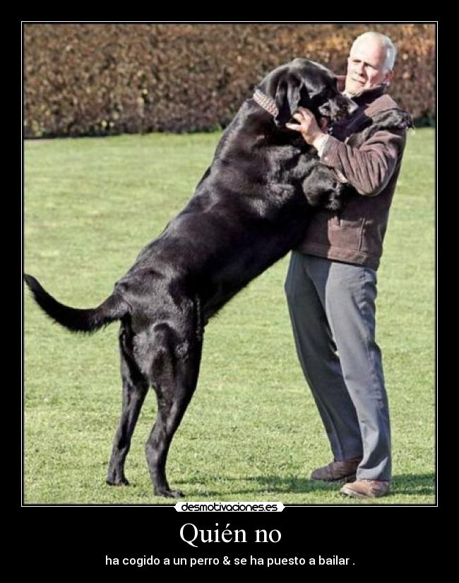 Quién no - ha cogido a un perro & se ha puesto a bailar .