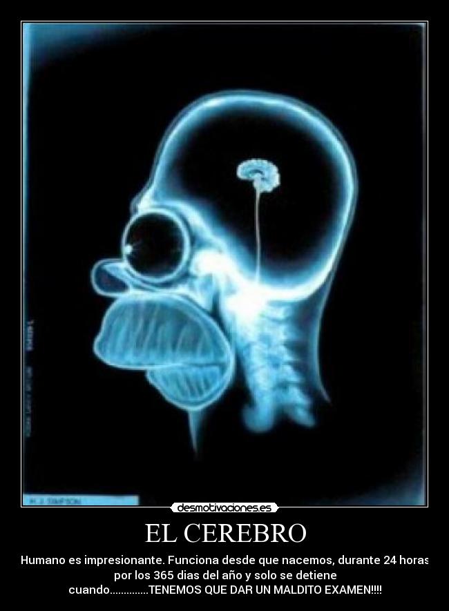 EL CEREBRO - Humano es impresionante. Funciona desde que nacemos, durante 24 horas
por los 365 dias del año y solo se detiene
cuando..............TENEMOS QUE DAR UN MALDITO EXAMEN!!!!