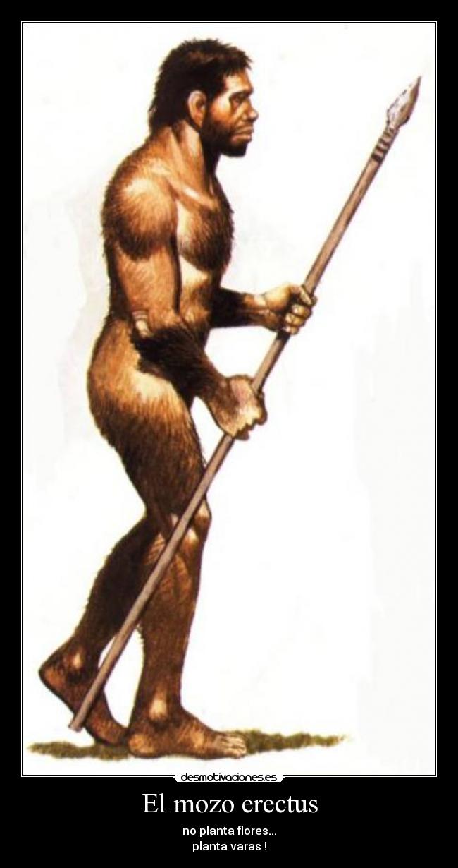 El mozo erectus - no planta flores...
planta varas !