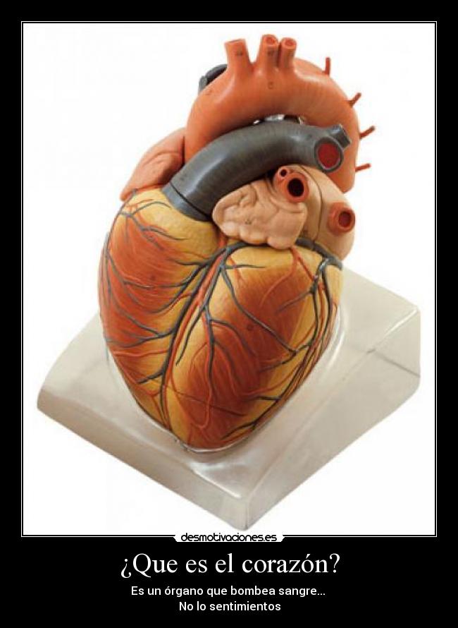 ¿Que es el corazón? - Es un órgano que bombea sangre...
No lo sentimientos