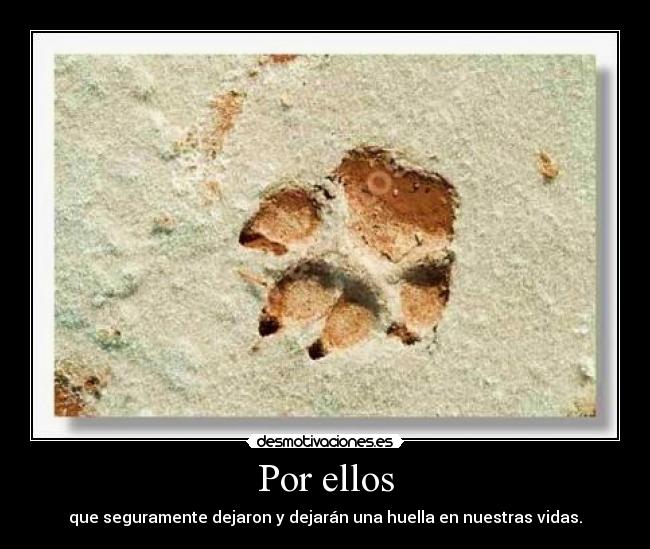 Por ellos - que seguramente dejaron y dejarán una huella en nuestras vidas.