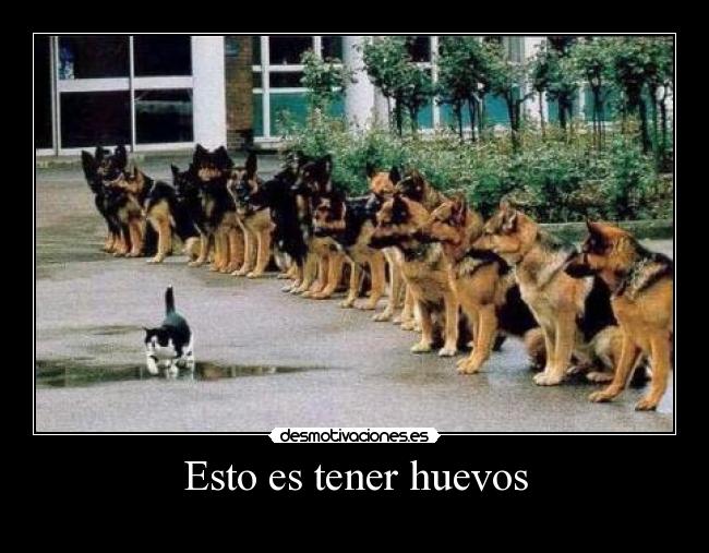 Esto es tener huevos - 