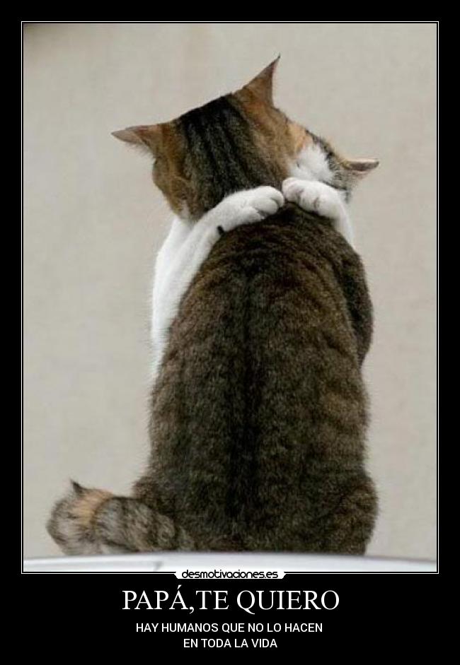 PAPÁ,TE QUIERO -