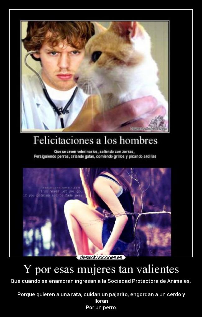 Y por esas mujeres tan valientes - Que cuando se enamoran ingresan a la Sociedad Protectora de Animales,
Porque quieren a una rata, cuidan un pajarito, engordan a un cerdo y lloran
Por un perro.