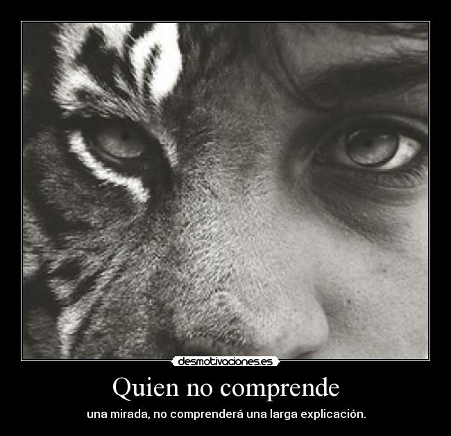 carteles goodbye lover desmotivaciones