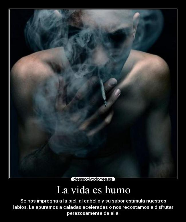 La vida es humo - 