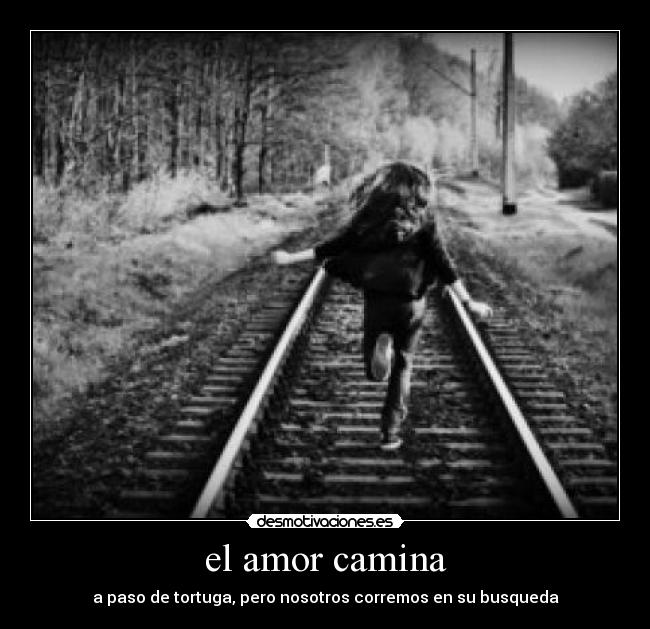 el amor camina - a paso de tortuga, pero nosotros corremos en su busqueda