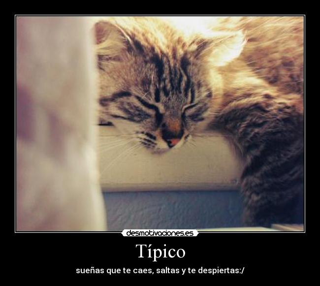 Típico - sueñas que te caes, saltas y te despiertas:/