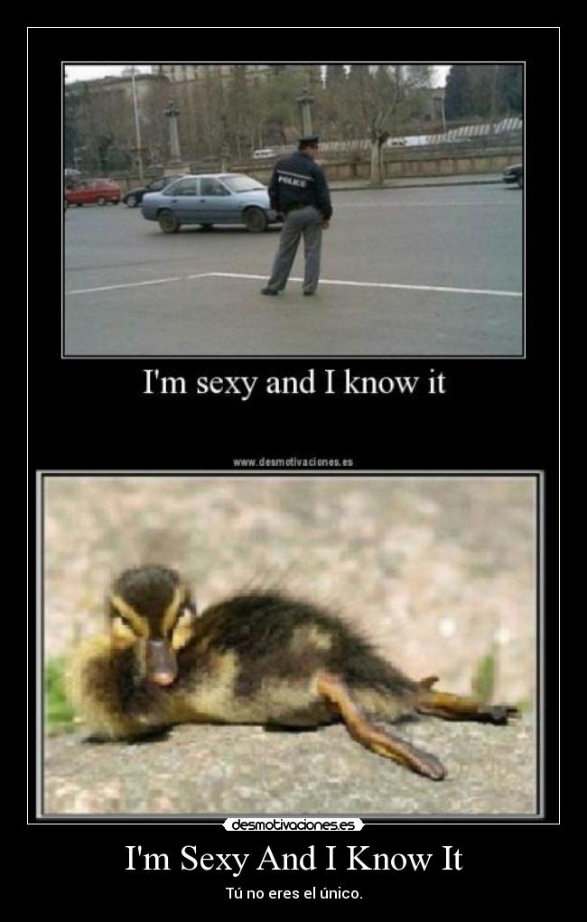 Im Sexy And I Know It -