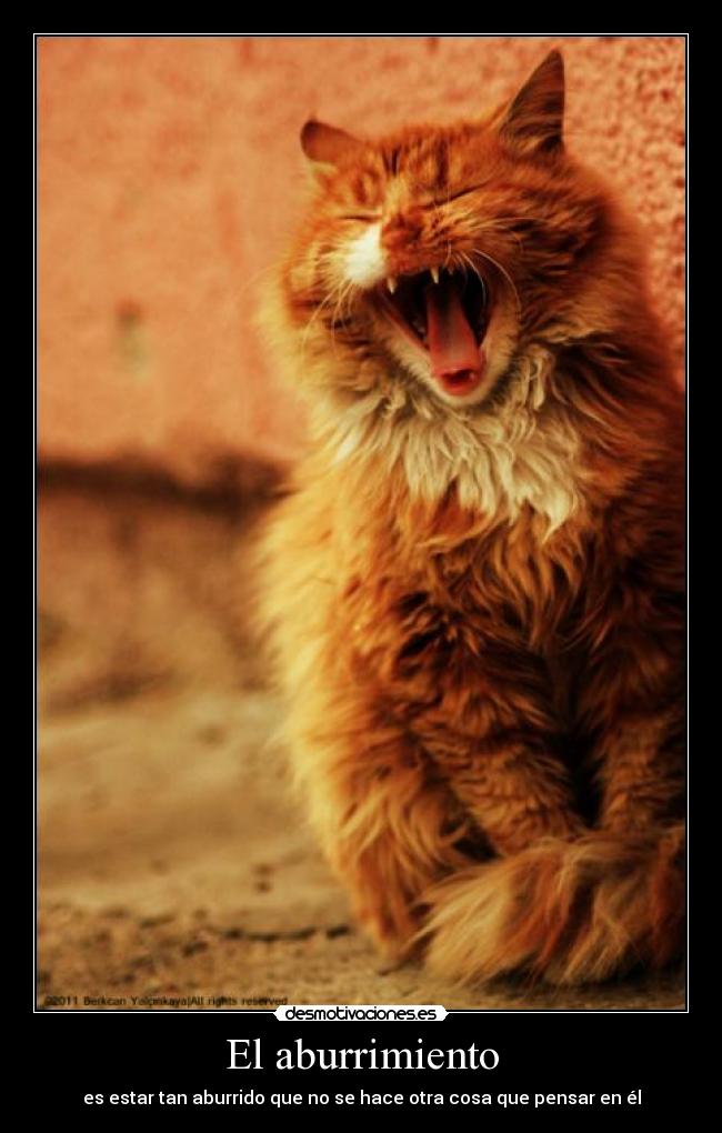 El aburrimiento - es estar tan aburrido que no se hace otra cosa que pensar en él