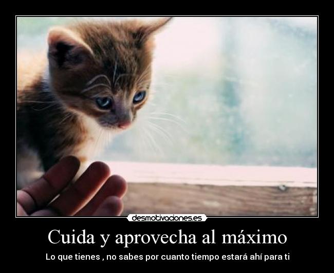 Cuida y aprovecha al máximo - Lo que tienes , no sabes por cuanto tiempo estará ahí para ti
