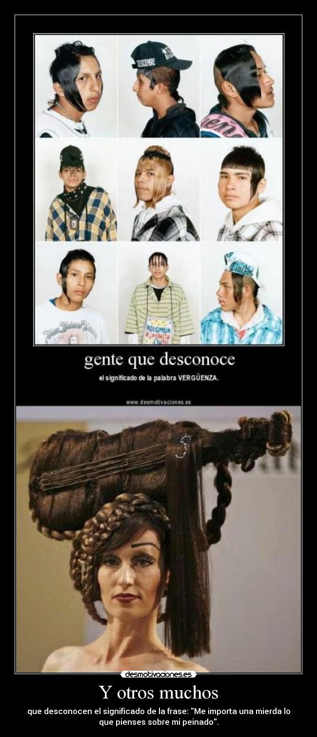 Y otros muchos - que desconocen el significado de la frase: Me importa una mierda lo
que pienses sobre mi peinado.