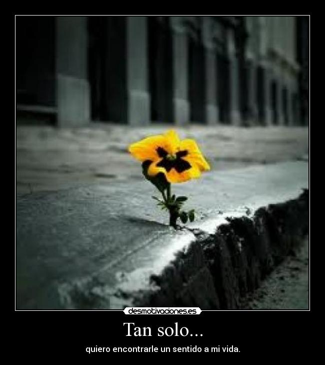 Tan solo... -