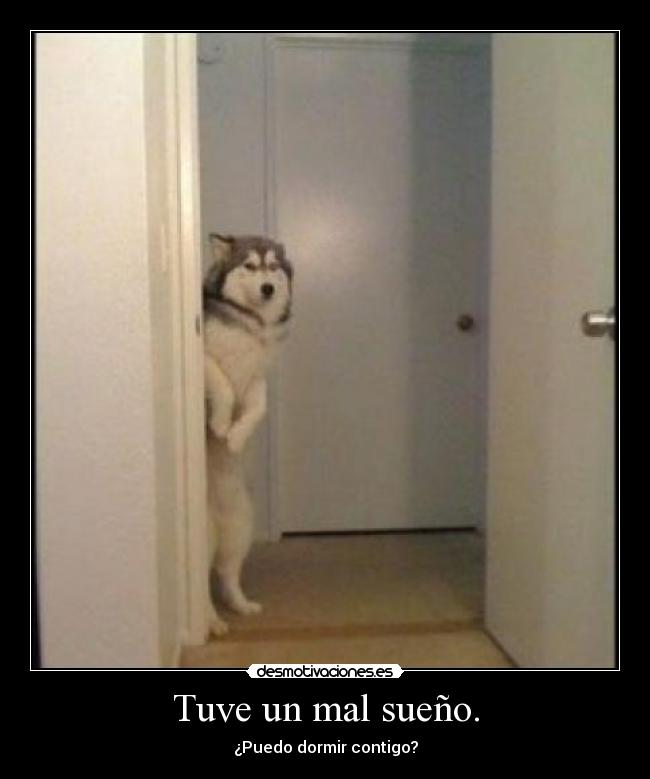 Tuve un mal sueño. -