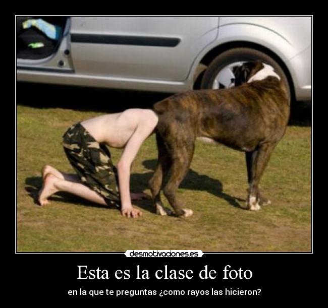 Esta es la clase de foto - en la que te preguntas ¿como rayos las hicieron?