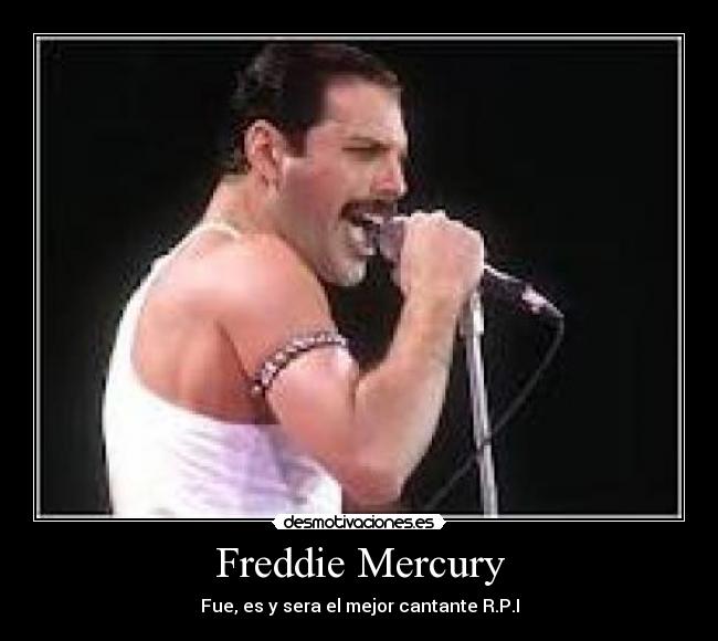 Freddie Mercury -