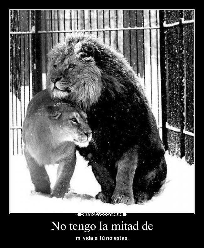 carteles anibalecter miamor mitodo teamo nenen mivida desmotivaciones