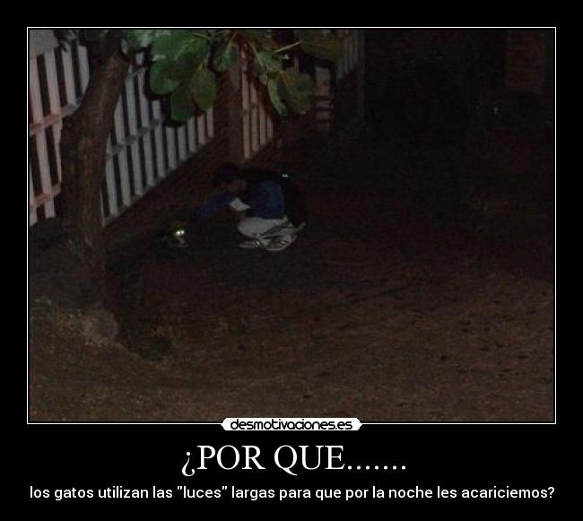 ¿POR QUE....... - 