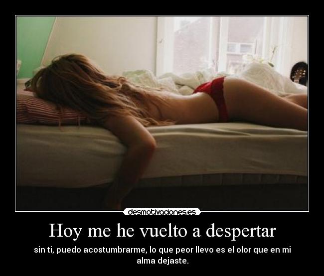 Hoy me he vuelto a despertar - sin ti, puedo acostumbrarme, lo que peor llevo es el olor que en mi alma dejaste.