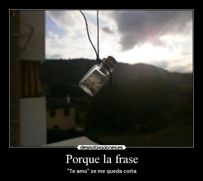 Porque la frase - Te amo se me queda corta