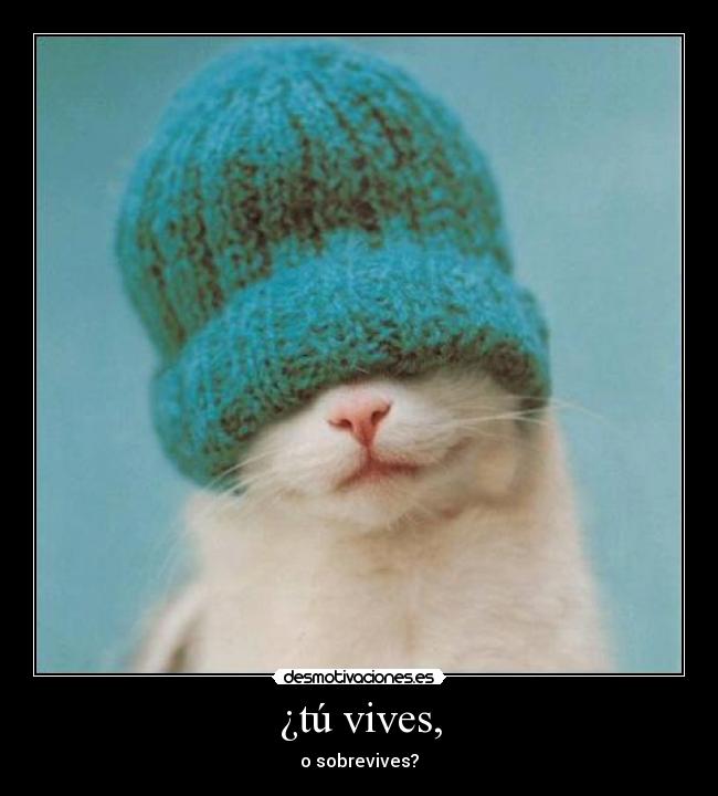 carteles vives sobrevivies kaede desmotivaciones