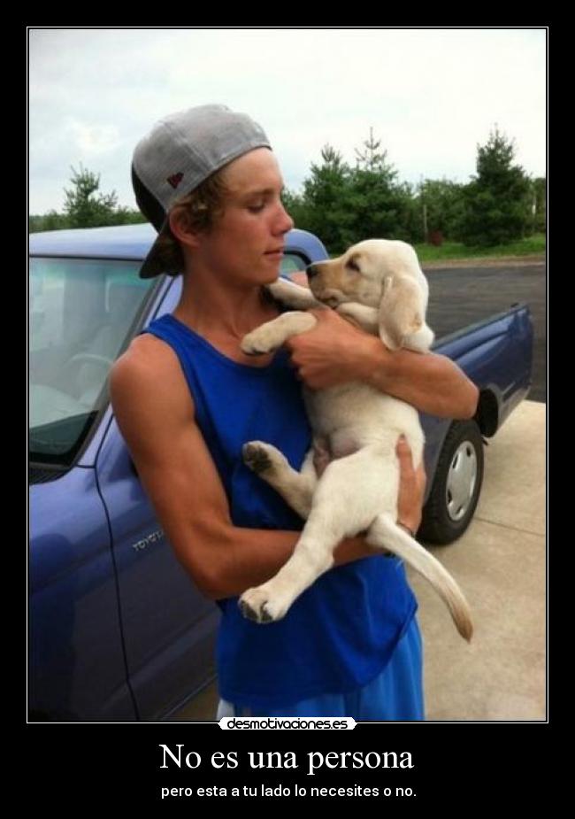 No es una persona -