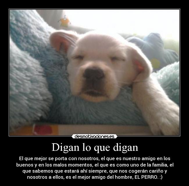 Digan lo que digan - El que mejor se porta con nosotros, el que es nuestro amigo en los
buenos y en los malos momentos, el que es como uno de la familia, el
que sabemos que estará ahí siempre, que nos cogerán cariño y
nosotros a ellos, es el mejor amigo del hombre, EL PERRO. :)