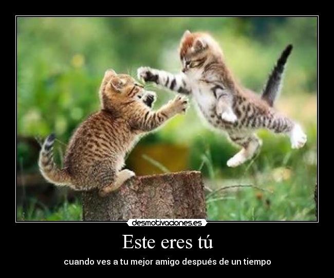 Este eres tú - cuando ves a tu mejor amigo después de un tiempo