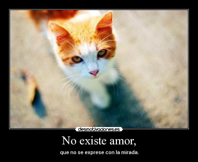 No existe amor, - que no se exprese con la mirada.