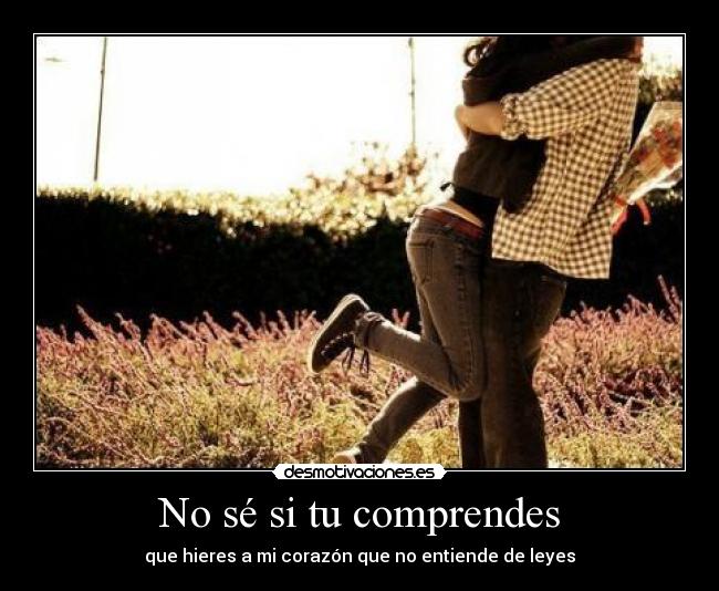 No sé si tu comprendes -