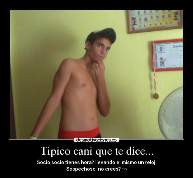 Tipico cani que te dice... -