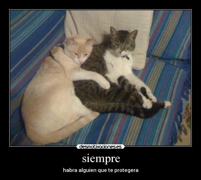 siempre - habra alguien que te protegera