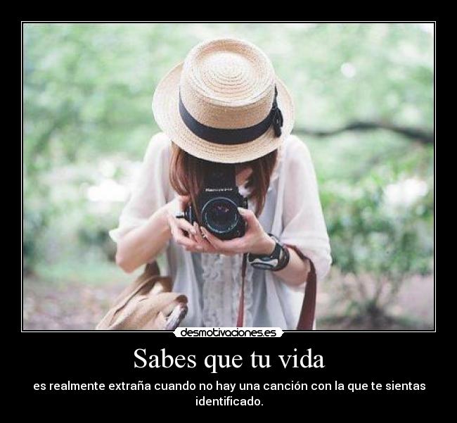 Sabes que tu vida - es realmente extraña cuando no hay una canción con la que te sientas identificado.