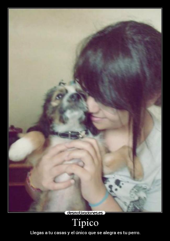 Típico - Llegas a tu casas y el único que se alegra es tu perro.