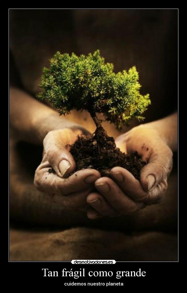 Tan frágil como grande -