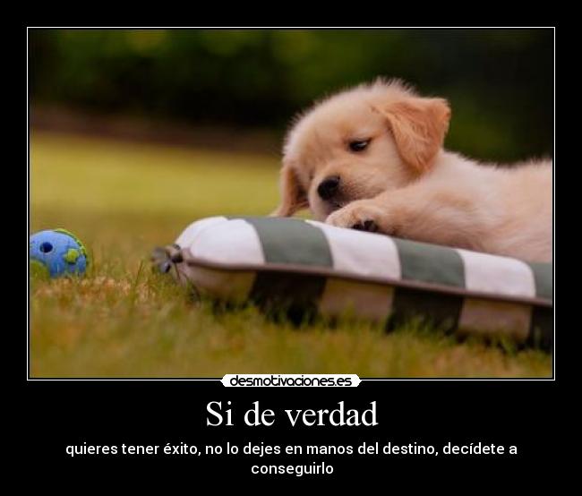 Si de verdad - quieres tener éxito, no lo dejes en manos del destino, decídete a conseguirlo