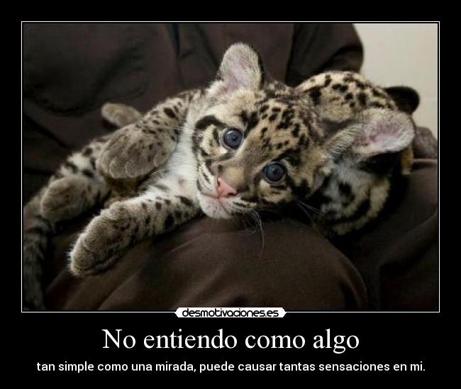 carteles anibalecter teamo desmotivaciones