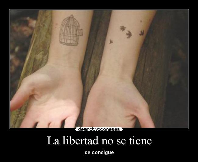 La libertad no se tiene - 