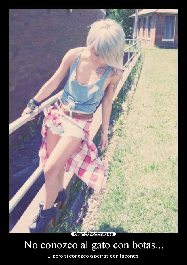 No conozco al gato con botas... - 