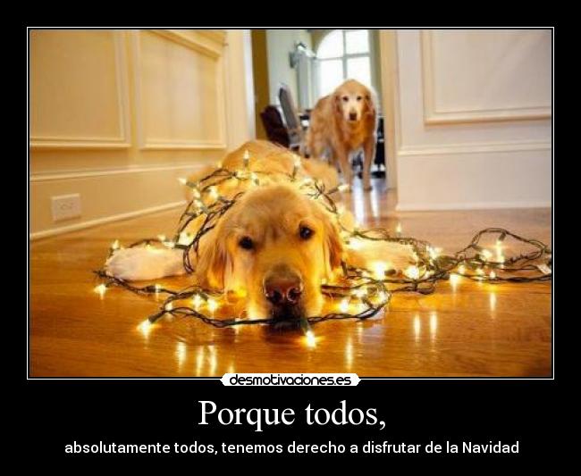 Porque todos, - absolutamente todos, tenemos derecho a disfrutar de la Navidad