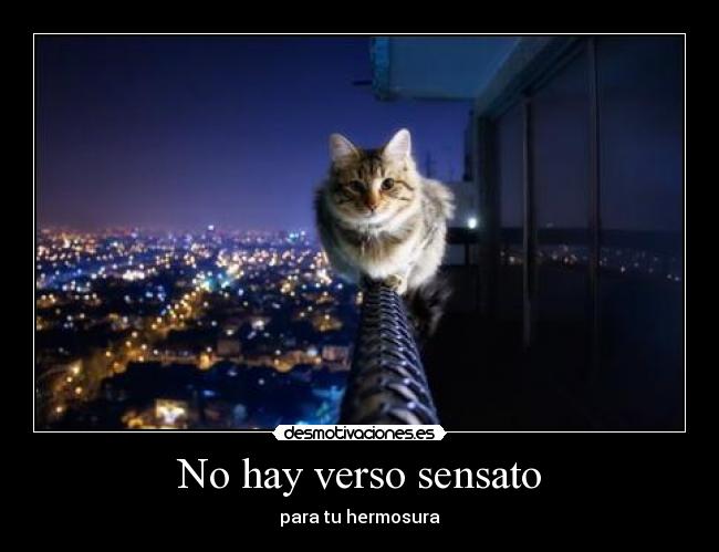 No hay verso sensato - para tu hermosura